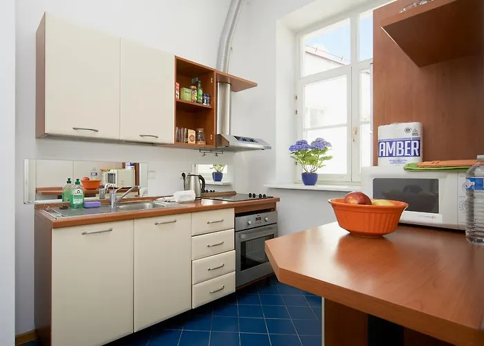 Apartamento Rehouse- Didzioji 39 *