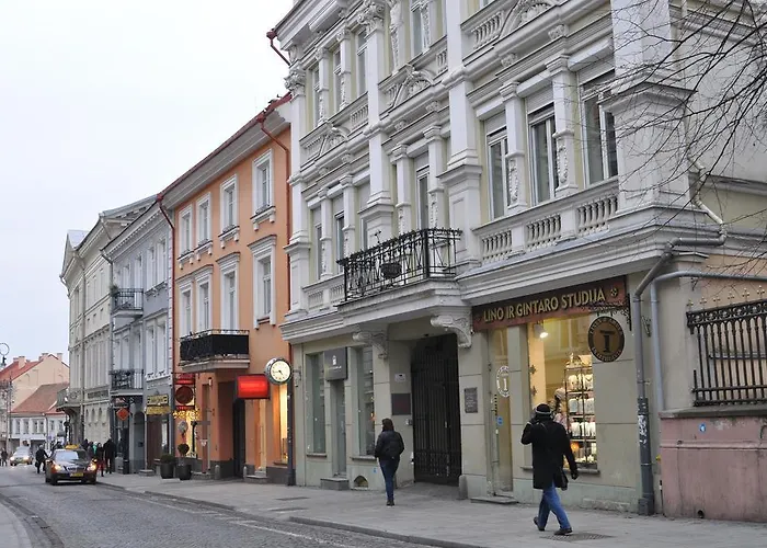 Rehouse- Didzioji 39 公寓